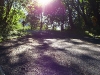portland2005 057